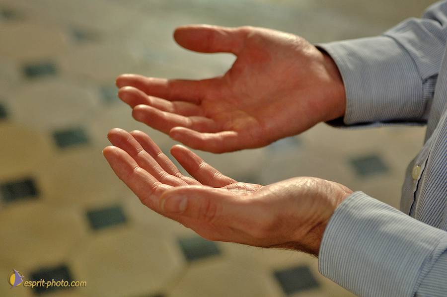 Nom de l'image : D2134720_1_(c)Norbert-JUNG — Description :